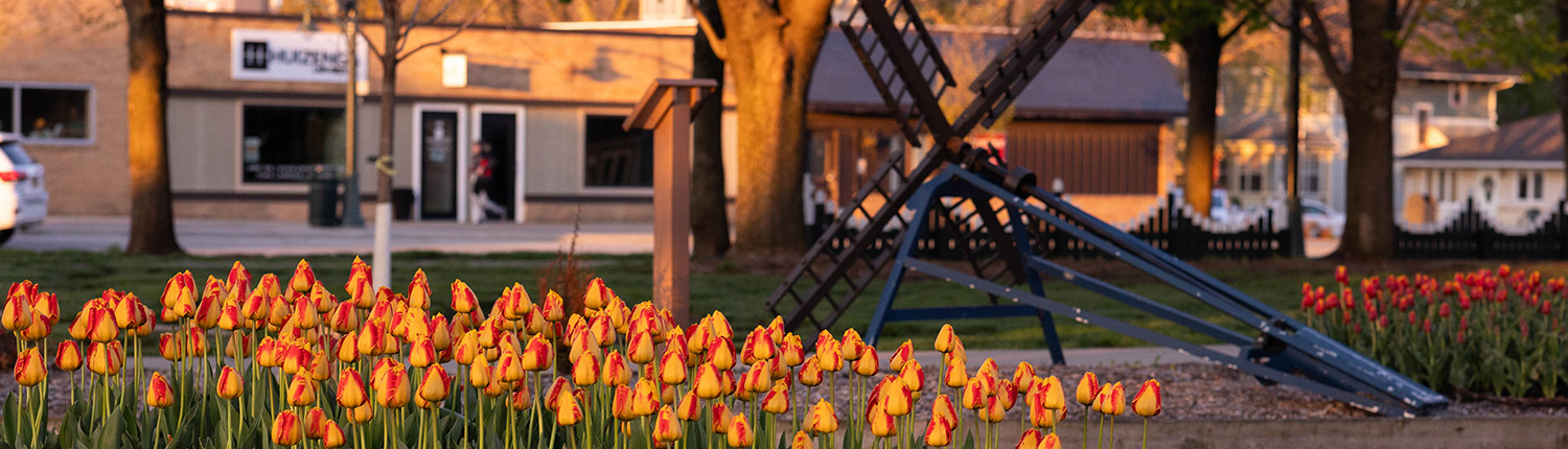 orangecity-slides-windmill-park2-1500x630-1-1500x430