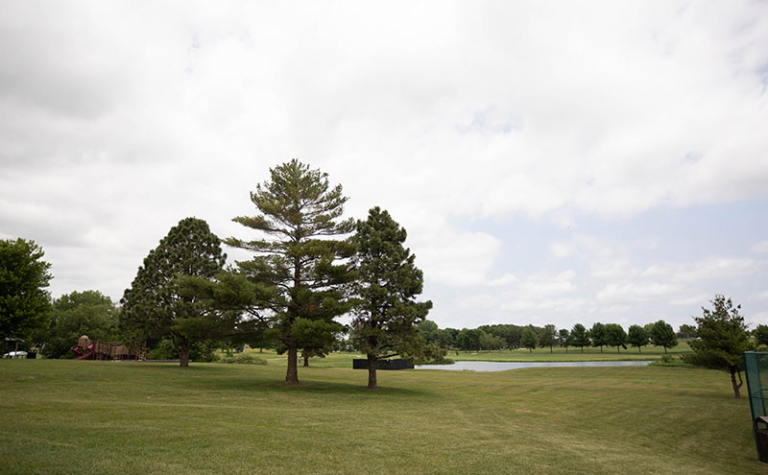 orangecity places Pool Shelter House 02 800x495 1 768x475